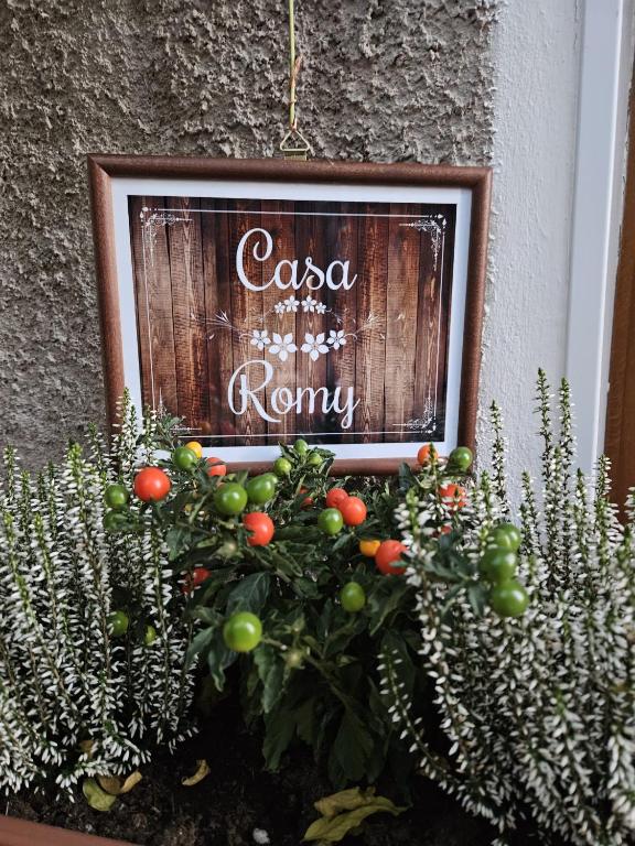 Casa Romy - B&B Roverè della Luna