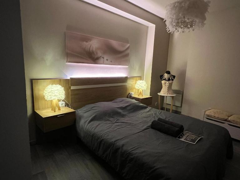 Plumes Résidence de l’Agout - Bed and Breakfast Castres