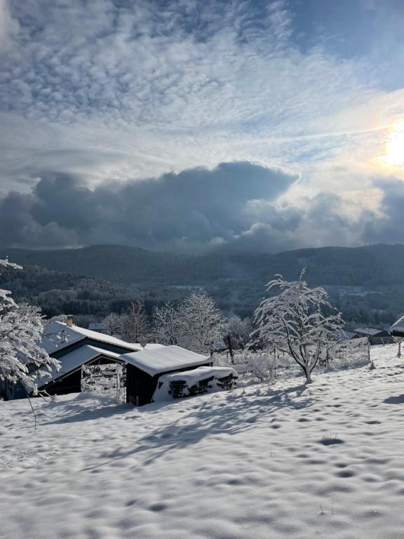 Refuge au coeur des Vosges - Chambres d'hôtes Aumontzey