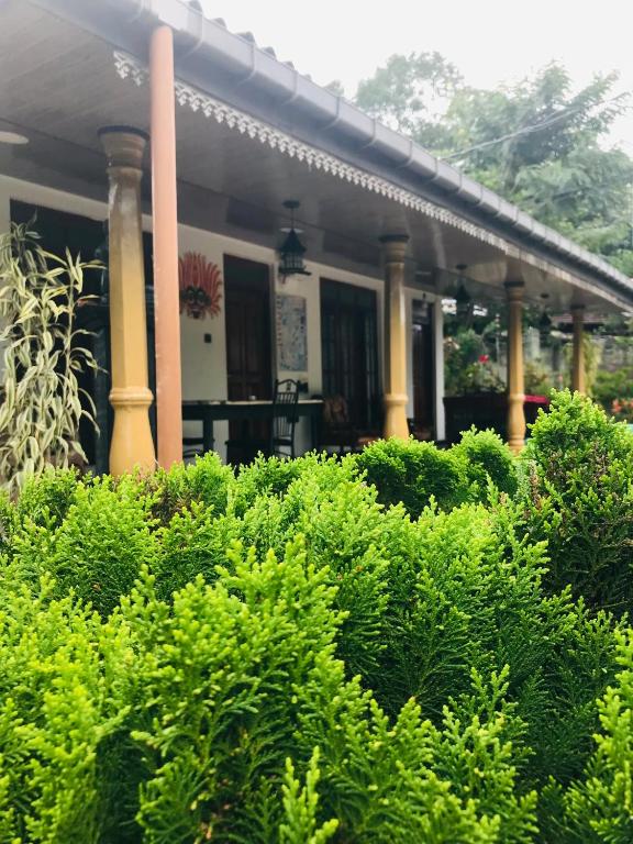 Cinnamon Homestay ella - B&B Ella Town