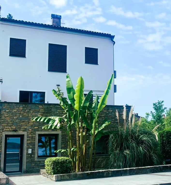 Apartments & rooms Artemus Belveder - B&B Koper