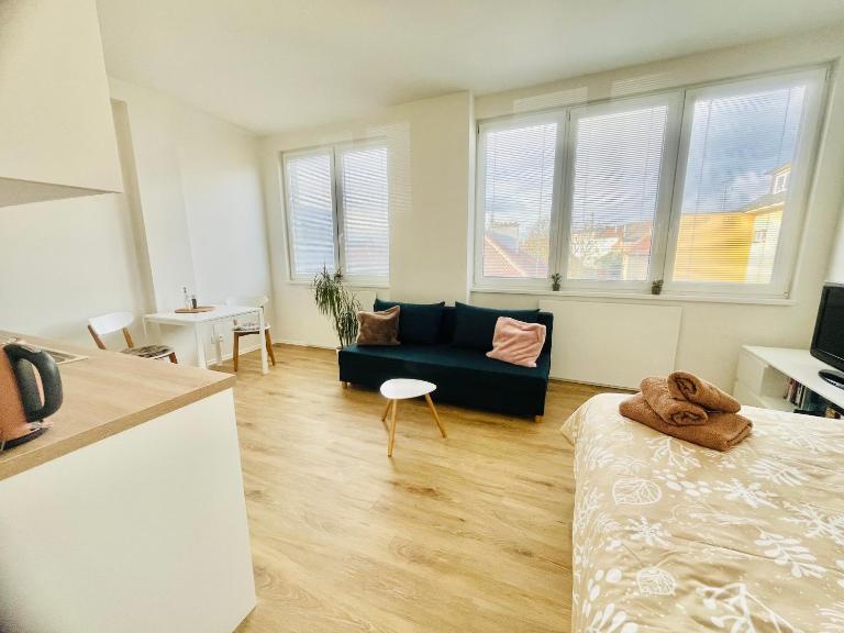 Apartmán Vyškov - Chambres d'hôtes Vyškov