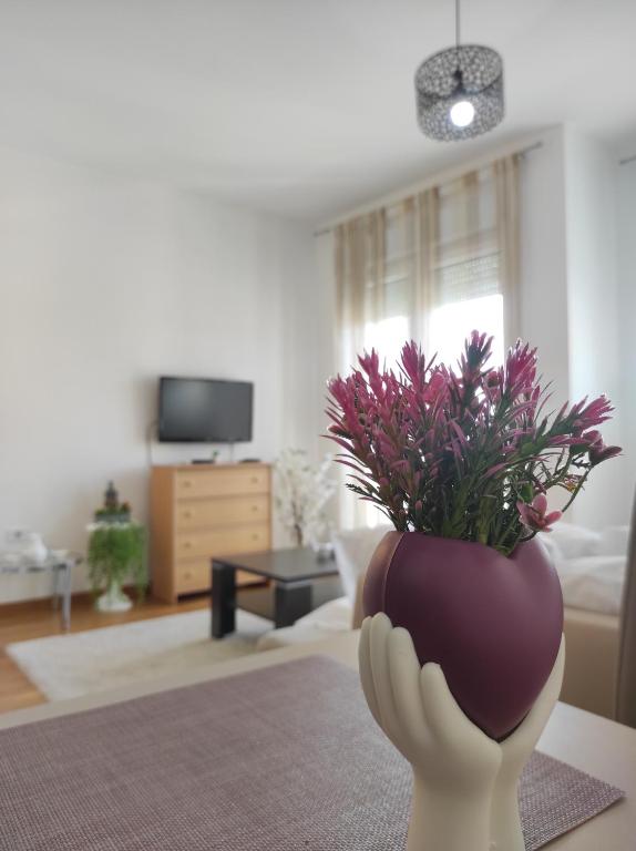Allurian Apartment - City kvart - Ferienwohnung Podgorica