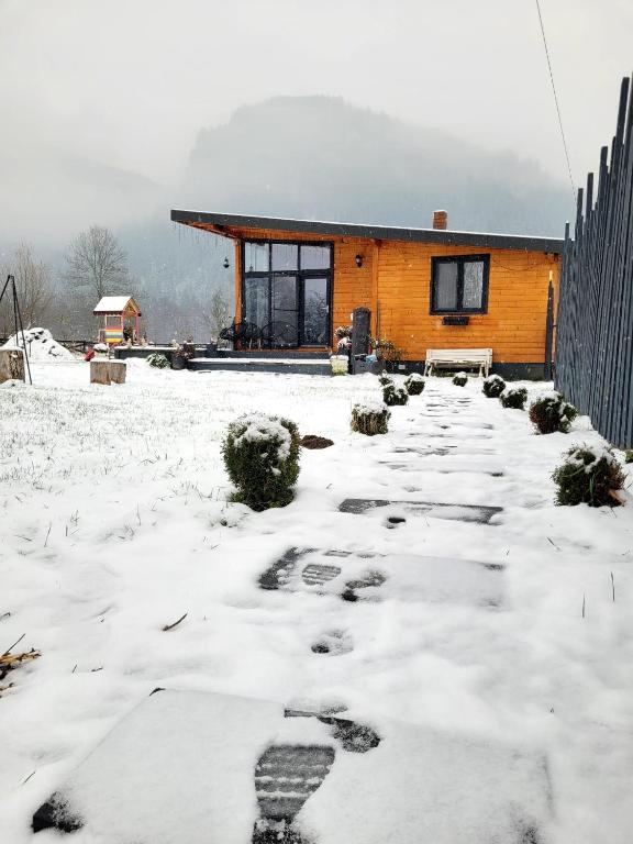 Casuta de sub stanca Apuseni cu hot tub si sauna - B&B Bârdeşti