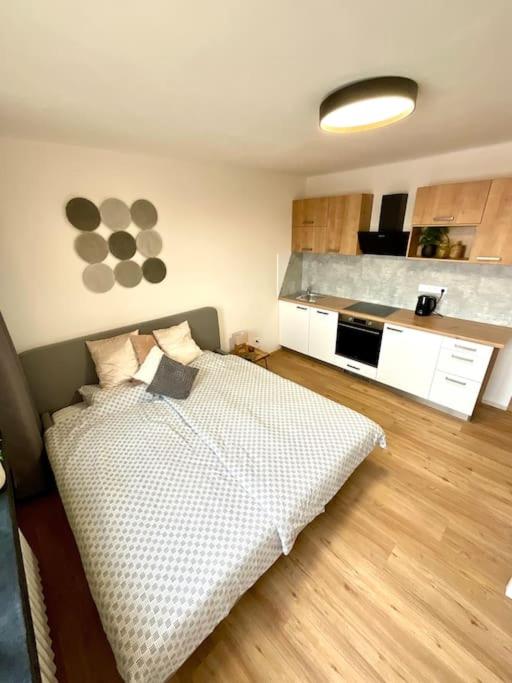 Apartmán č.4 v bankovním domě - Ferienwohnung Kuttenberg