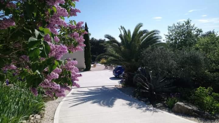 B&B La Boissière Et Le Vialat - B&B Montagnac