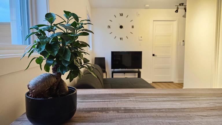 Au coeur du village - B&B Rawdon