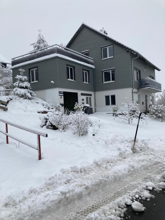 Fünf Harzer Berge. Rehberg - Ferienwohnung St. Andreasberg