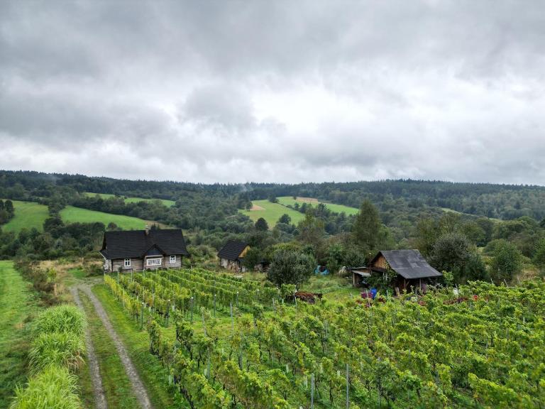 Utopia Dom przy winnicy - B&B Nowica