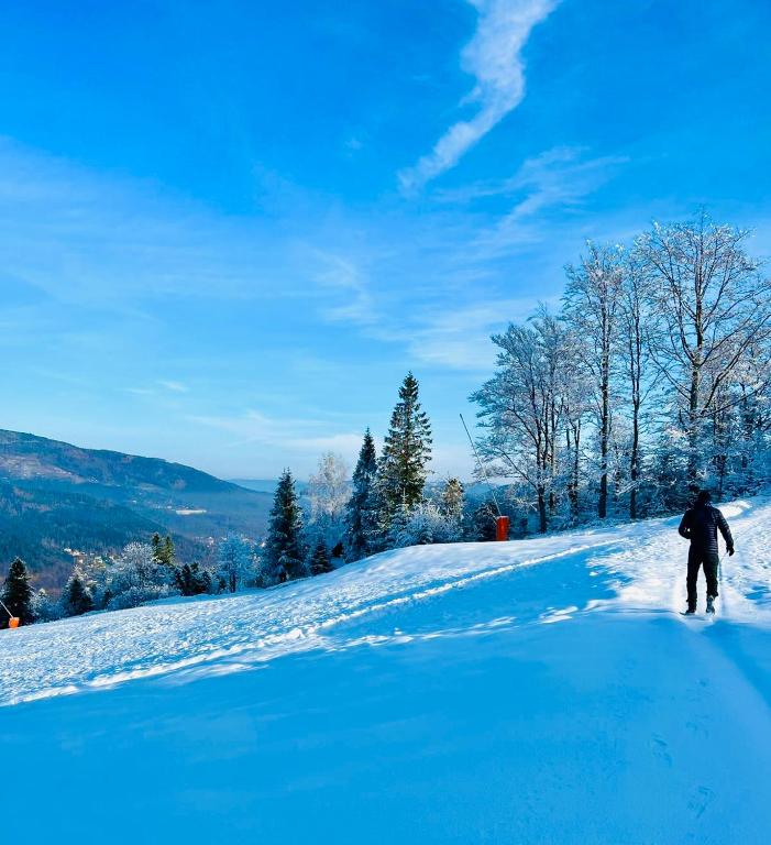 Szczyrkowskie SKI & FUN 18 - z widokiem na góry - Sauna i Jacuzzi - Chambres d'hôtes Szczyrk