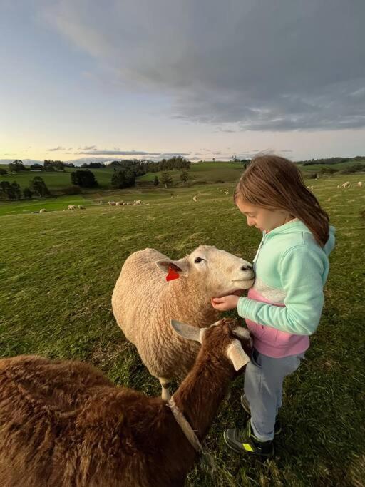 JillyPark Farmstay Experience Discover Authentic Farm Life Complimentary Breakfast Included - Chambres d'hôtes Buln Buln