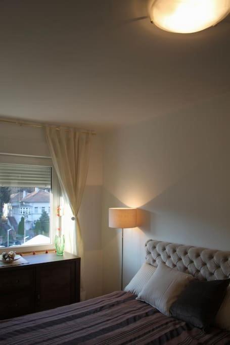 Cozy with parking - B&B Zemun