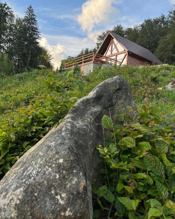 Sara’S Land - Ferienwohnung Câmpu lui Neag