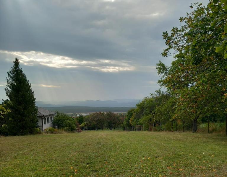 Apartment am Waldrand mit Fernblick - Chambres d'hôtes Hettmannsdorf