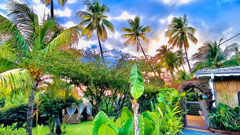 MAJO LOUNGE dans un jardin tropical vue mer ,5 min de la plage Caraïbe - B&B Saint-Pierre