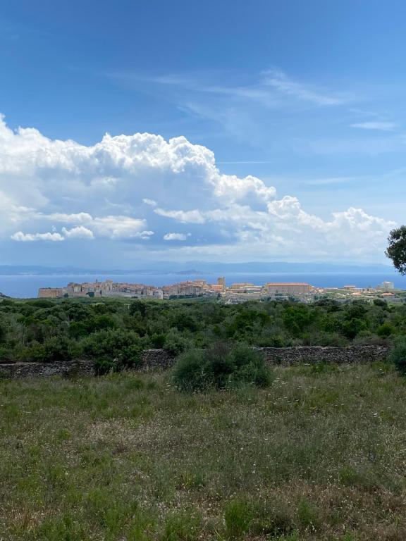 Petit chalet d’été avec piscine privée chauffée - Ferienwohnung Bonifacio