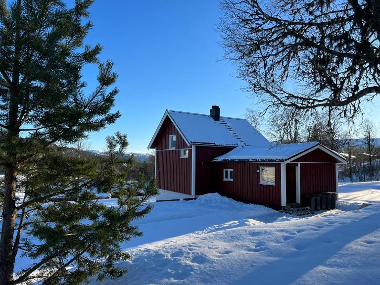 Apartment Grønlid - B&B Rauland