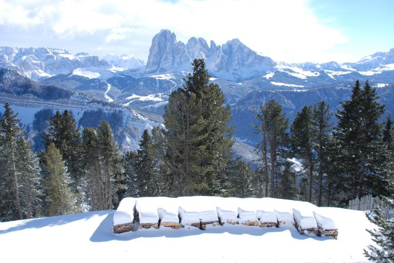 Chalet Resciesa Ortisei - Bed and Breakfast Urtijëi
