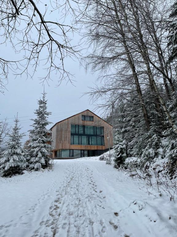 ALPINA Mountain View Apartment - B&B Špindlerův Mlýn