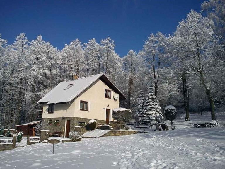 Holiday home in Marianska - Erzgebirge 1664 - B&B Mariánská