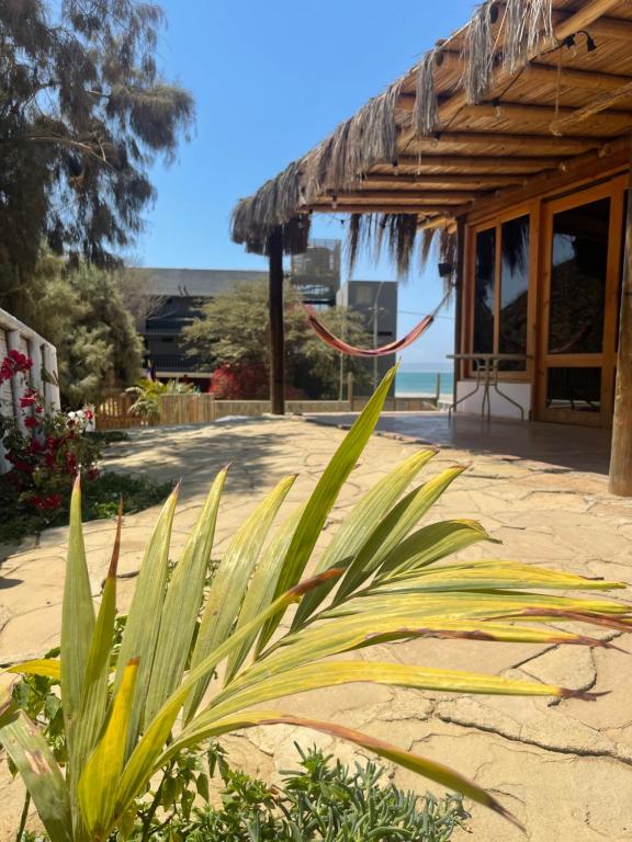 Lobitos Eco Lodge - Bed and Breakfast Lobitos