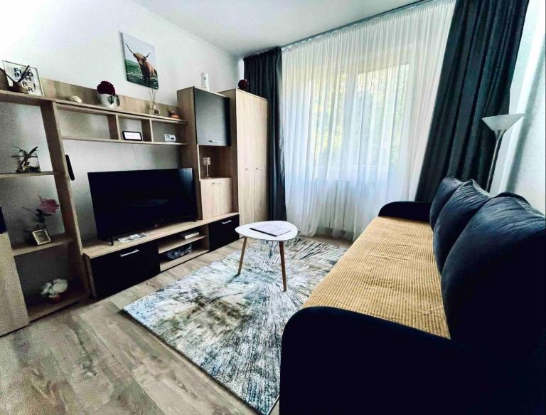 GataBagajul Apartments - Vaslui - B&B Vaslui