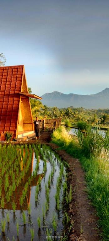 Muni's Terrace Bungalow - B&B Kotaraja