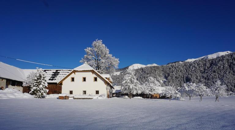 Ferien am Land - WALDBAUER - Bed and Breakfast Rossleithen