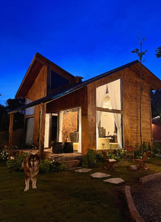 Mật Pet Farm - Mộc Châu - B&B Mộc Châu