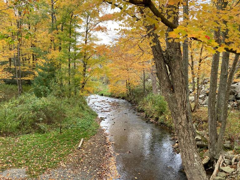 Picturesque Riverside Cabin with Fireplace and Porch - Bed and Breakfast Blowing Rock