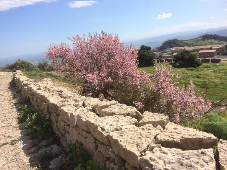 Iudica charme - Ferienwohnung Castel di Judica