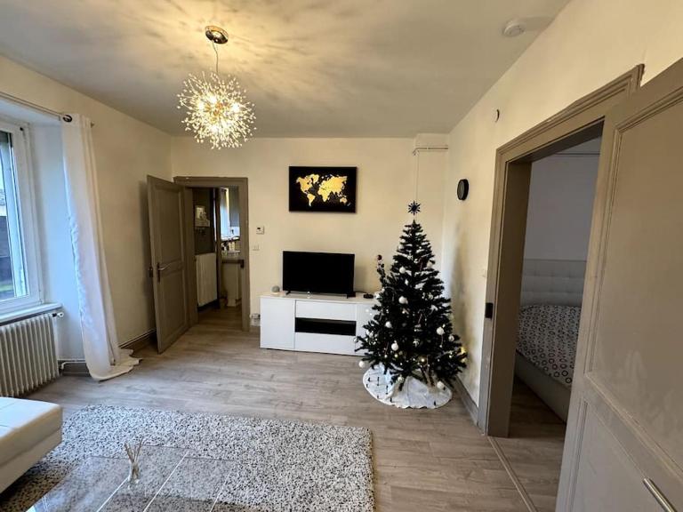 Charmant appartement de 3 pièces, Colmar - Ferienwohnung Colmar