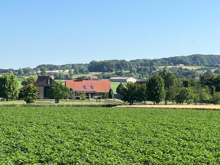 Vakantiewoning - Ter Douve - Ferienwohnung Heuvelland