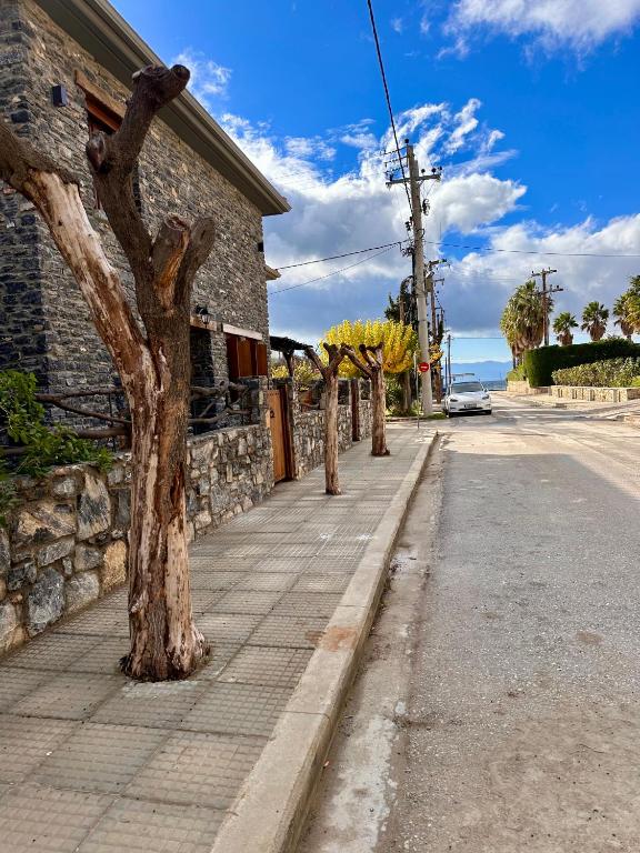 Black Rock Agria - Bed and Breakfast Agriá