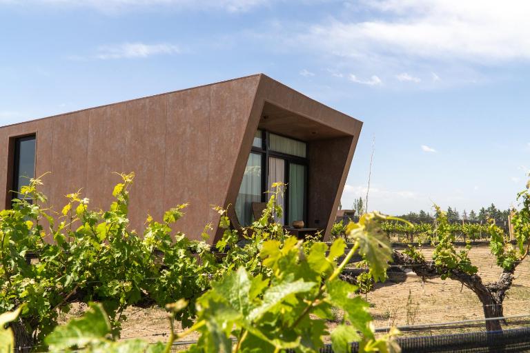 Andeluna Winery Lodge - Bed and Breakfast Tupungato