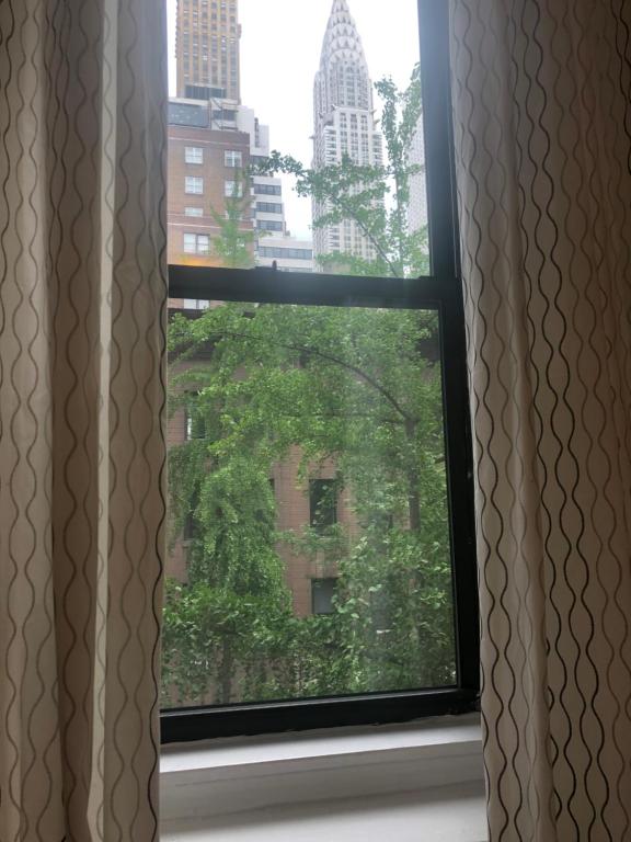 Cozy place in midtown NYC - B&B New York