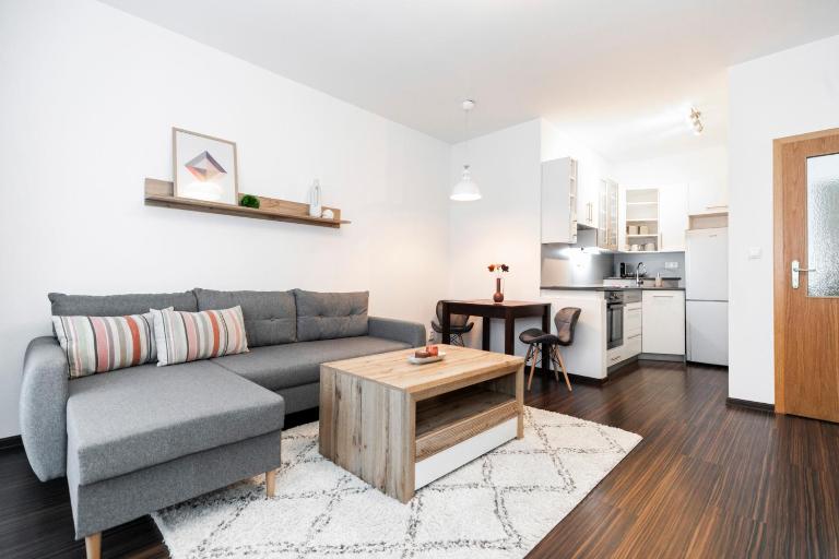 ALURE RESIDENCES 3 & 24h self check-in, parking in the garage in the apartment building included, new building, terrace, green location with a forest park with a lake, children's playground - B&B Banská Bystrica