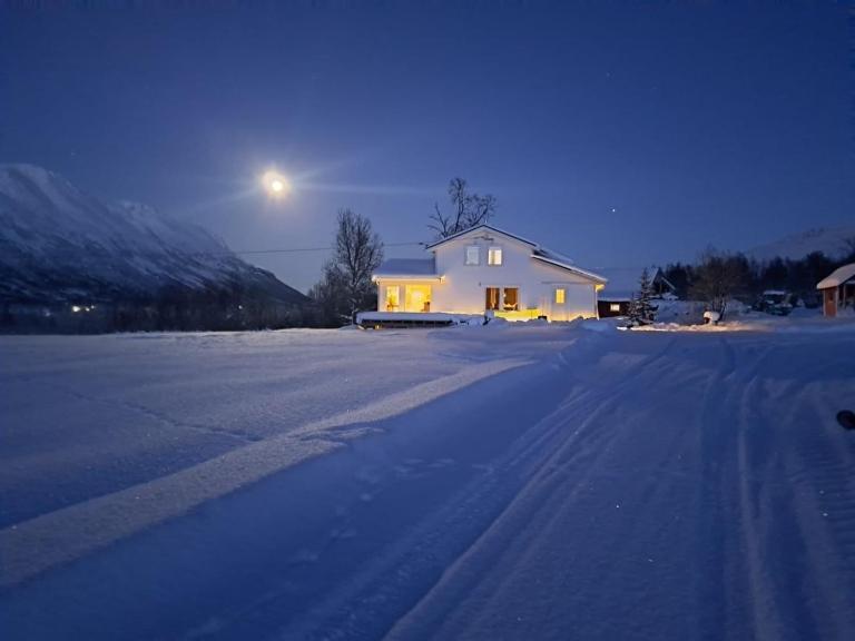 Mountainside Lodge - Breivikeidet - B&B Tromsø