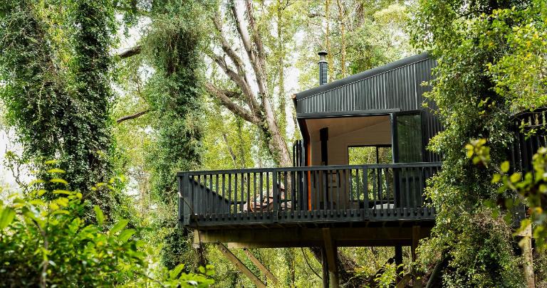 Te Aka Treehouse - B&B Nelson Creek