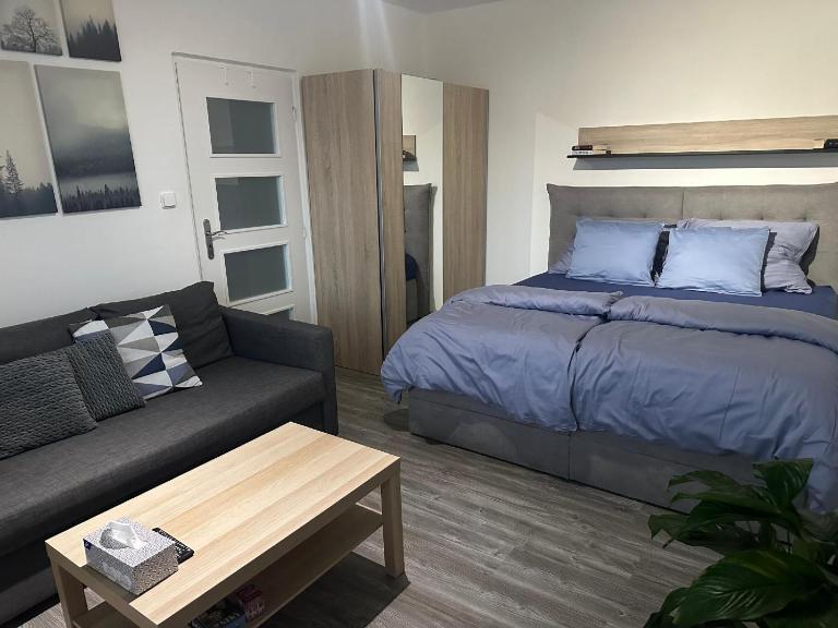 Apartmán č. 19 - Bed and Breakfast Harrachov
