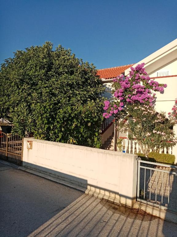 Studio apartman Vera Vir No 2 - Bed and Breakfast Vir