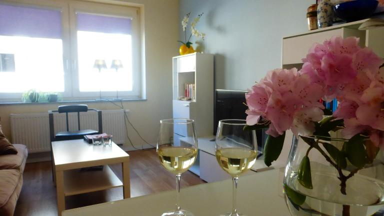 Kleines Studio Albatros - Chambres d'hôtes Bremerhaven