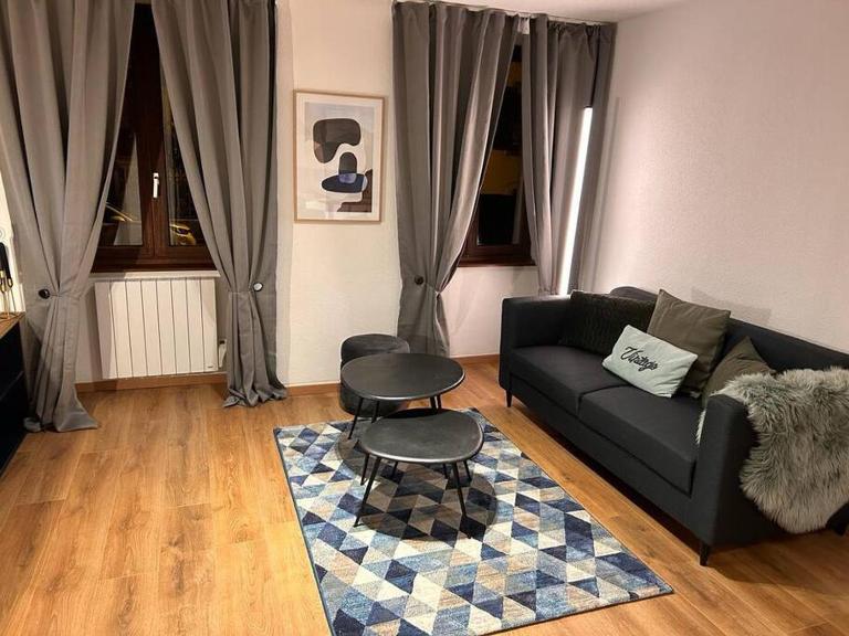 Élégant F2 luxueux proche Suisse - Ferienwohnung Delle