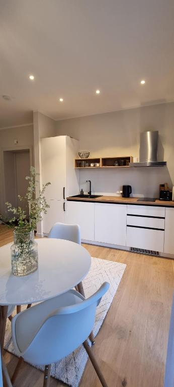 Albatross Green Apartment - Bed and Breakfast Ķesterciems