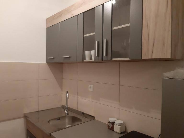 S&B Apartman Vrnjačka Banja - B&B Vrnjačka Banja
