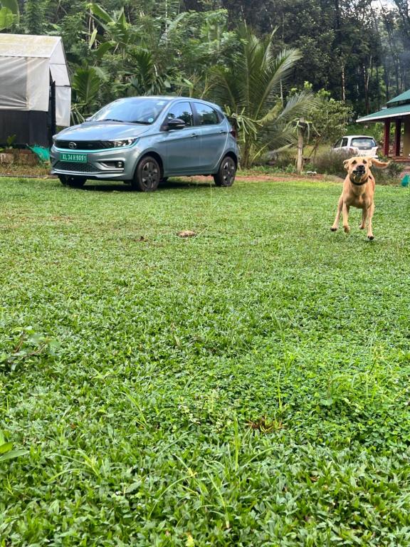 The Green Thumb Farm Stay - B&B Mundakāyam