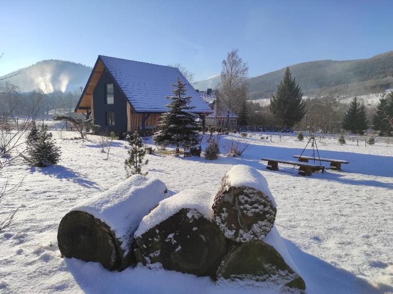 Polna Mięta - B&B Stronie Śląskie