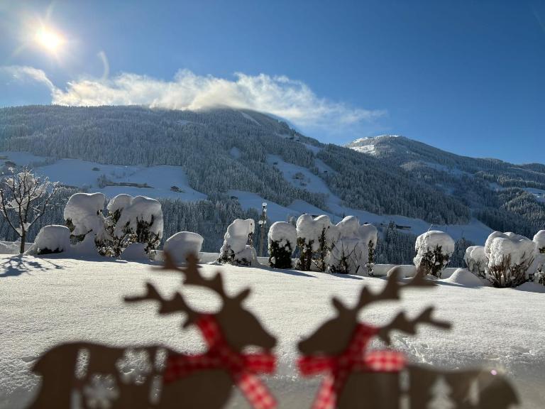 Haus Schmetterling - B&B Alpbach