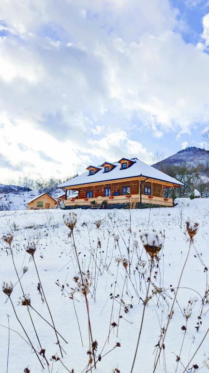 Casuta din Cotroape - Maramureș - B&B Săcel