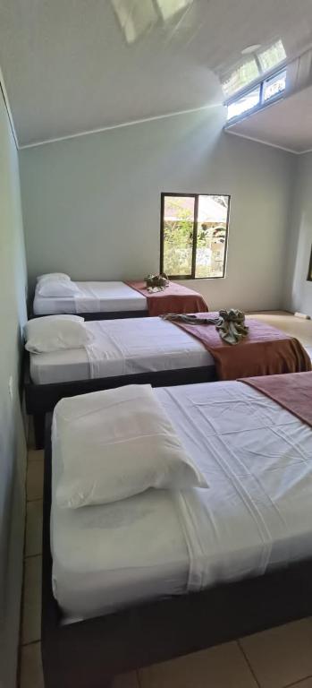 Cabinas Corcovado Green Parrot, Los Planes Drake - B&B Drake Bay